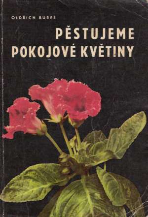 Pěstujeme pokojové květiny - Bureš Oldřich