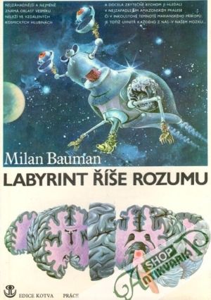Labyrint říše rozumu - Bauman Milan