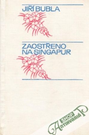 Zaostřeno na Singapur - Bubla Jiří