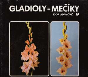Gladioly - mečíky - Adamovič Igor