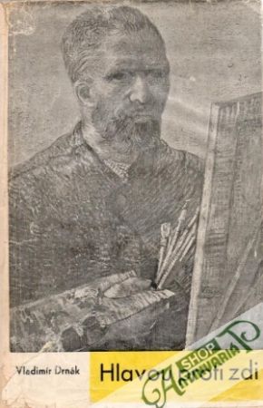 Hlavou proti zdi - Drnák Vladimír