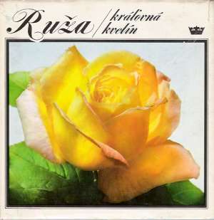 Ruža - kráľovná kvetín - Havlů, Jaša, Klimeš
