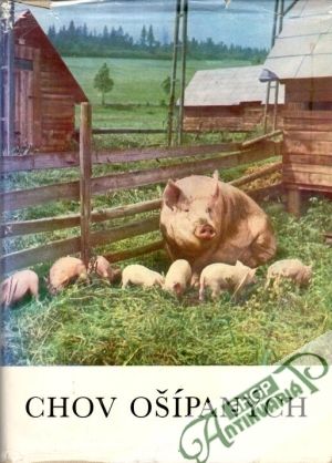 Chov ošípaných - Karakoz A. a kolektív