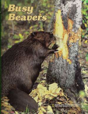 BUSY BEAVERS - Brownell B.