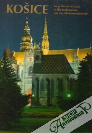 Košice na prelome tisícročí - Jiroušek Alexander
