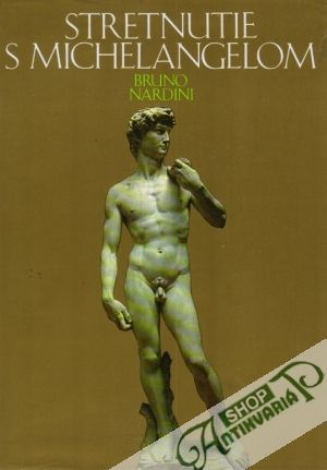 Stretnutie s Michelangelom - Nardini Bruno