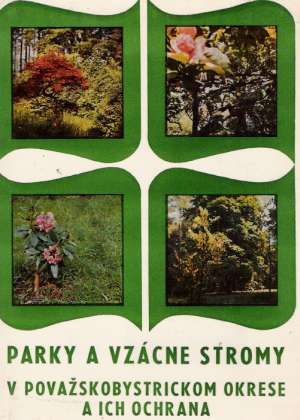 Parky a vzácne stromy v Považskobystrickom okrese a ich ochrana - Runkovič Gejza