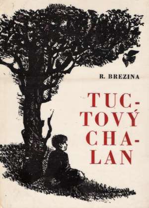 Tuctový chalan - Brezina Rudolf