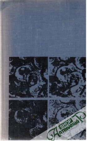 Na západe nič nového - Remarque Erich Maria