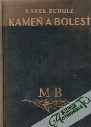 Kameň a bolesť - Schulz Karel