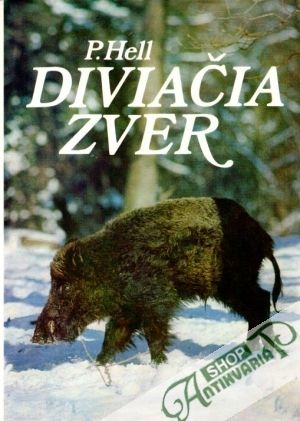 Diviačia zver - Hell Pavel