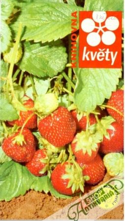 Knihovna Květu - Kolektív autorov