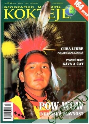 Koktejl 6/2001 - Kolektív autorov