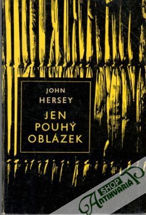 Jen pouhý oblázek - Hersey John