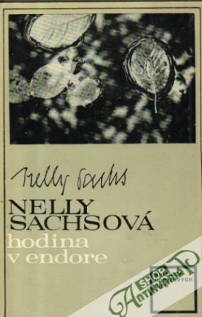 Hodina v Endore - Sachsová Nelly