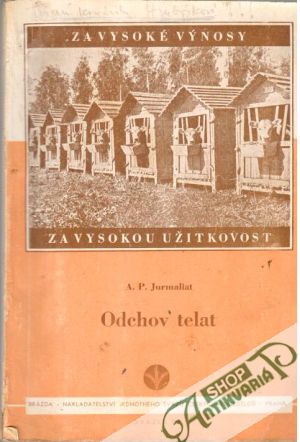 Odchov telat - Jurmaliat A. P.
