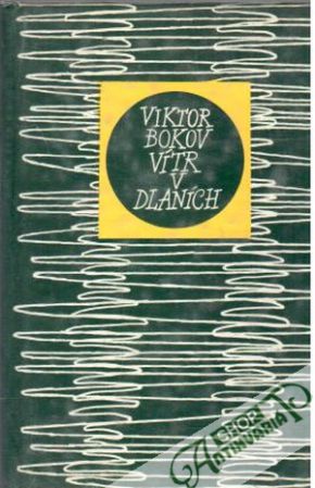 Vítr v dlaních - Bokov Viktor