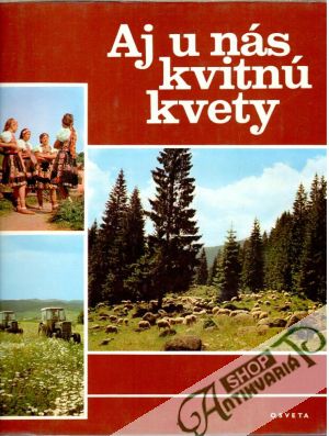 Aj u nás kvitnú kvety - Kolektív autorov