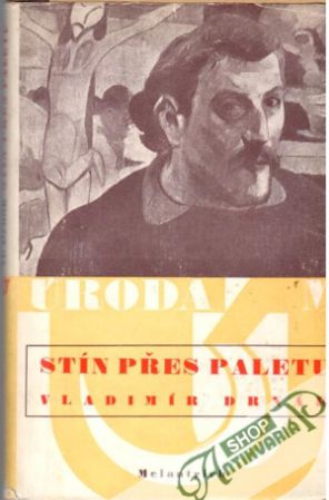 Stín přes paletu - Drnák Vladimír