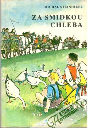 Za smidkou chleba - Šteinhíbel Michal