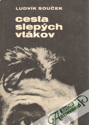 Cesta slepých vtákov - Souček Ludvík