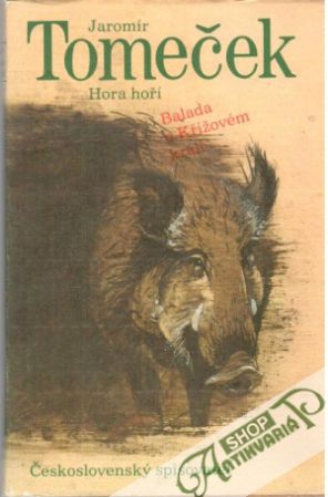 Hora hoří - Tomeček Jaromír