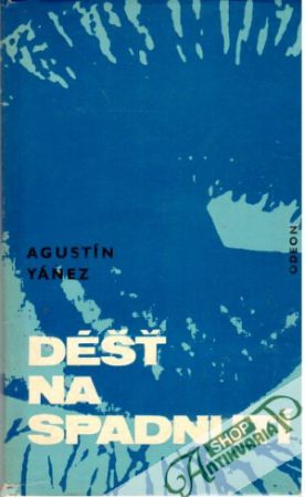 Déšť na spadnutí - Yánez Agustín