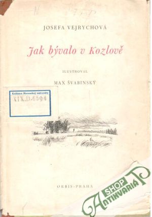 Jak bývalo v Kozlově - Vejrychová Josefa