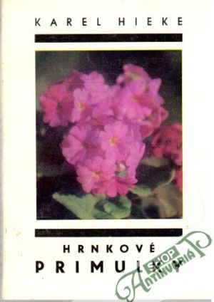 Hrnkové primulky - Hieke Karel