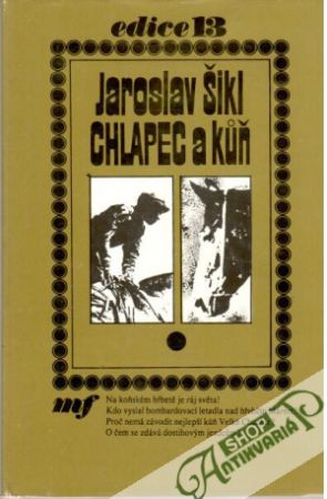 Chlapec a kůň - Šikl Jaroslav