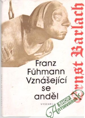 Vznášející se anděl - Fühmann Franz