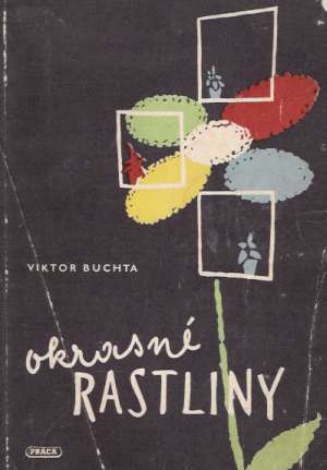 Okrasné rastliny v byte a na pracovisku - Buchta Viktor