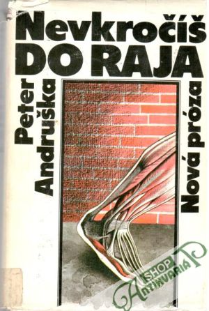 Nevkročíš do raja - Andruška Peter