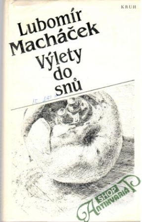 Výlety do snů - Macháček Lubomír