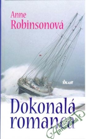 Dokonalá romanca - Robinsonová Anne