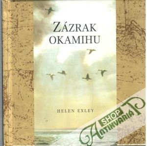 Zázrak okamihu - Exley Helen