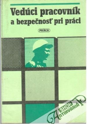 Vedúci pracovník a bezpečnosť pri práci - Hejl Emil a kolektív