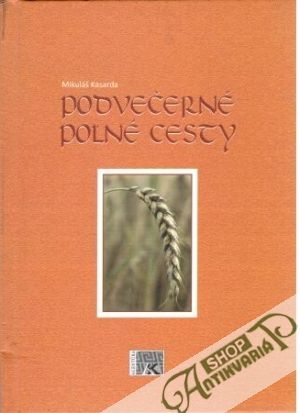 Podvečerné poľné cesty - Kasarde Mikuláš