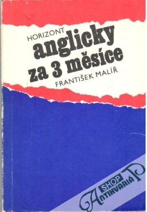 Anglicky za 3 měsíce - Malíř František