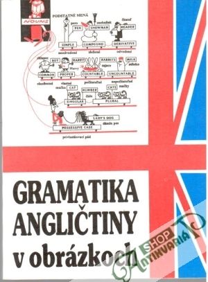 Gramatika angličtiny v obrázkoch - Dubrovin Mark