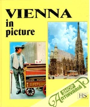 Vienna in picture - Schmid Marion