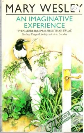 An imaginative experience - Wesley Mary
