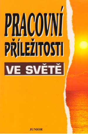 Pracovní příležitosti ve světě - Kolektív autorov