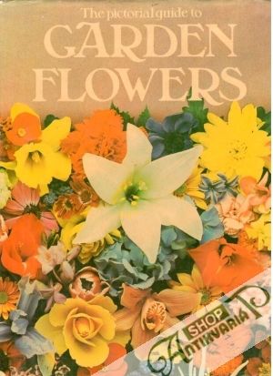 Garden flowers - Sanecki Kay