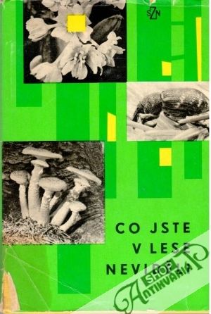 Co jste v lese neviděli - Rabšteinek, Soukup