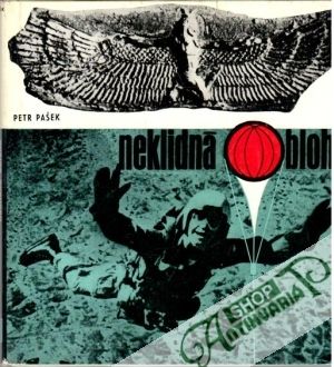 Neklidná obloha - Pašek Petr