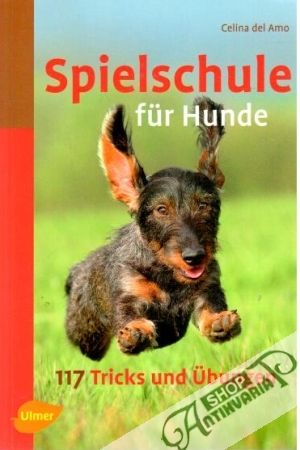 Spielschule fur Hunde - Celina del Amo