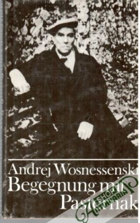 Begegnung mit Pasternak - Wosnessenski Andrej