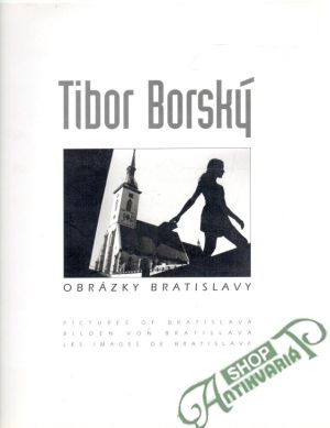 Obrázky Bratislavy - Borský Tibor