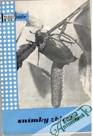 Snímky z blízka - Schrader Horst